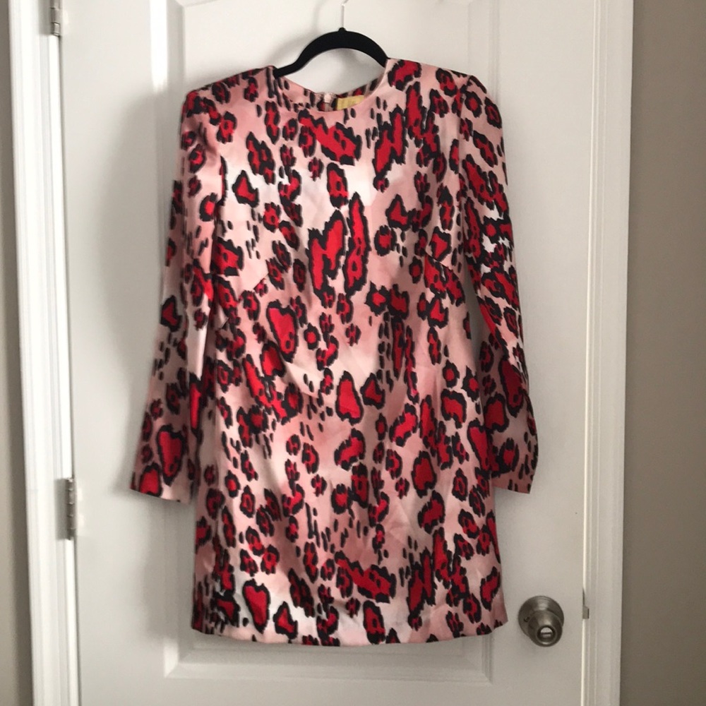 H&M Leopard Print Silk Dress